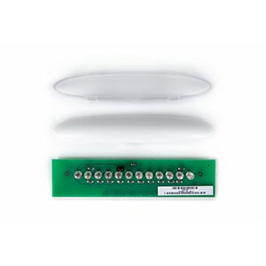 FRU DASH 10IN ALRM W/LENS W/BLANK (PUR) FRU DASH 10IN ALRM W/LENS W/BLANK (PUR)